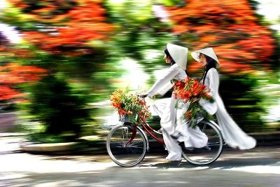 http://lh5.ggpht.com/_E6uVDrqY9G8/S9VrwWuKP2I/AAAAAAAAApk/CvC85Y5uOco/Em cho ha ve - TELEPHIC.jpg